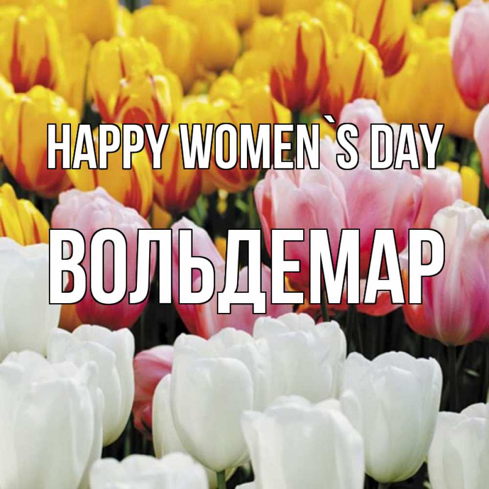 Greetings card с именем, Вольдемар happy women`s day разноцветные цветы Greetings with text for free download 
